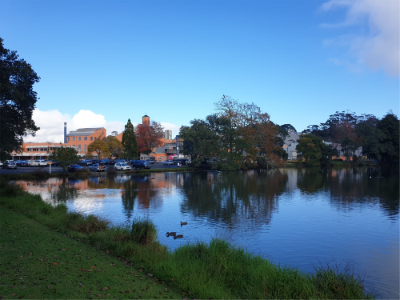 sugar workers walk-789-579 sugar workers walk-789-579